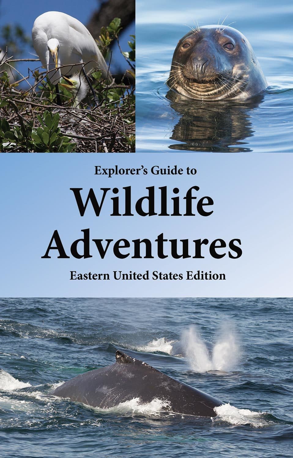 Guía del Explorador: Aventuras en la Naturaleza Salvaje